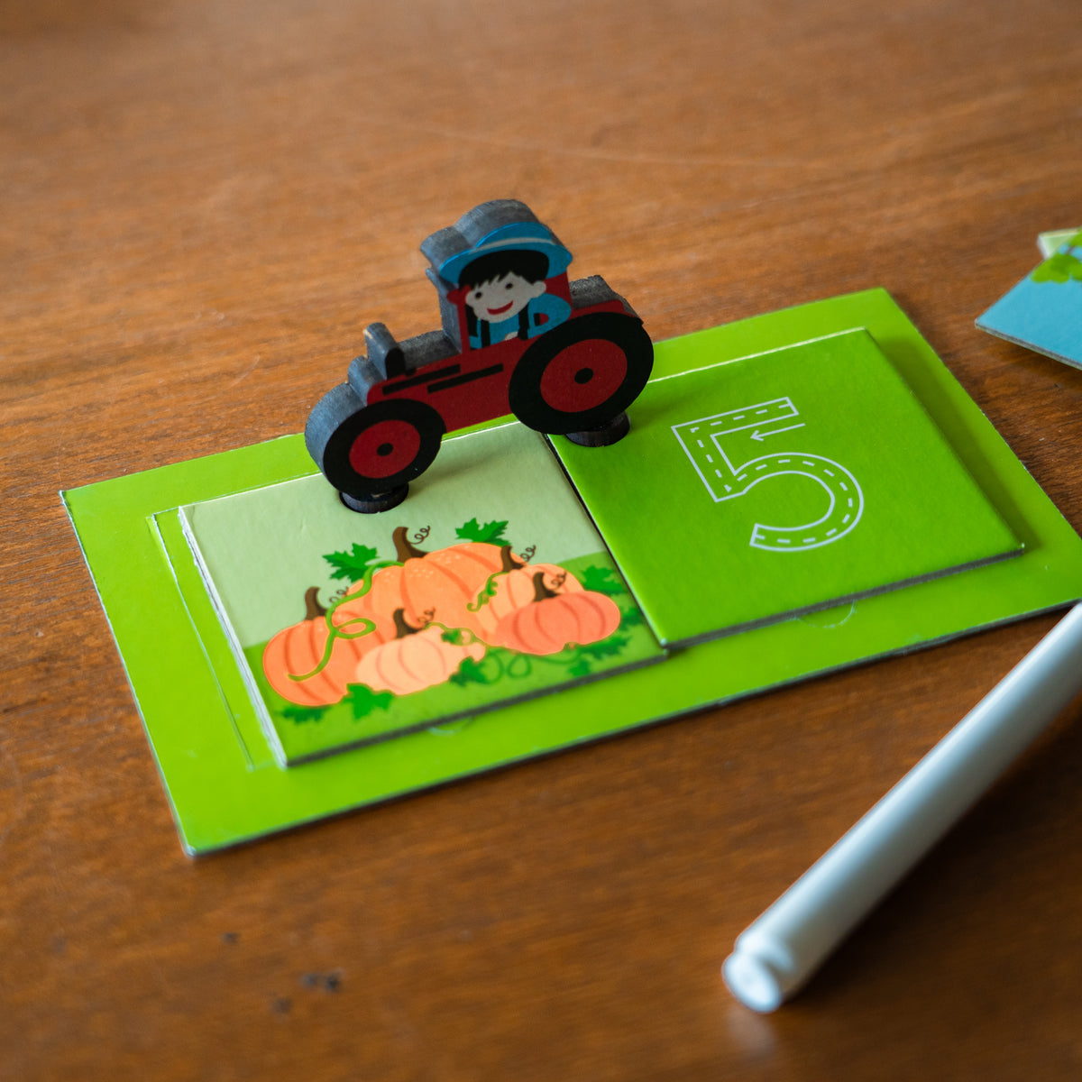Reusable Writing Cards